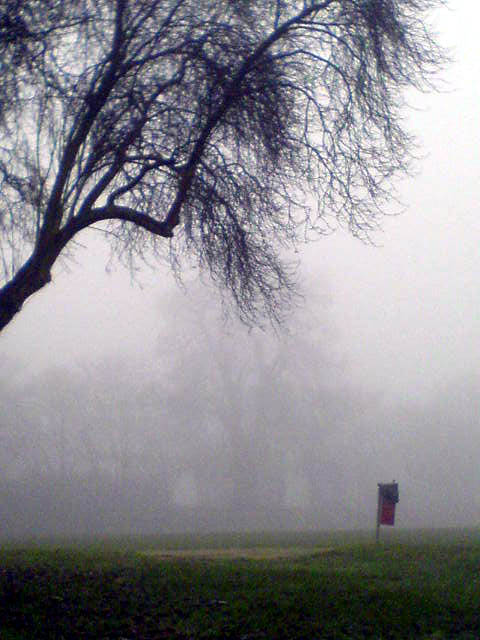 fog    by that rain feeling