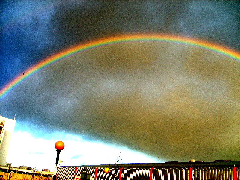 [http://ic1.deviantart.com/fs15/f/2007/020/b/b/Rainbow_by_earthlingsonfire.png]