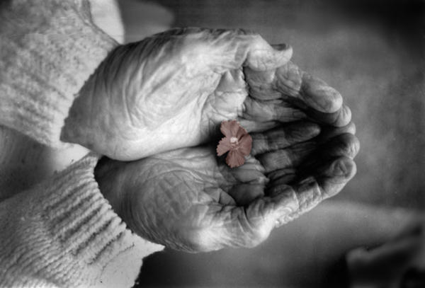 Grandmother Hands